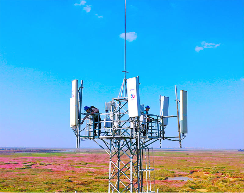 图片4.jpg 图片4.jpg